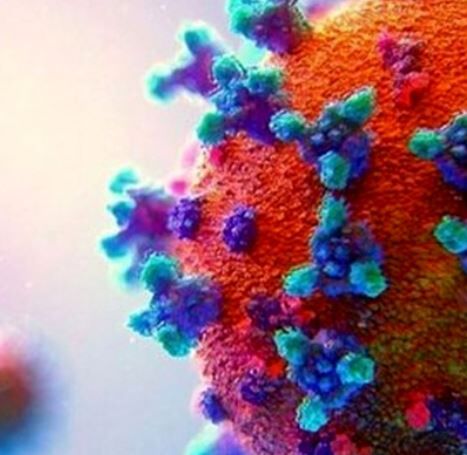 شناسایی۲۳ بیمار جدید کووید ۱۹ در کشور شناسایی۲۳ بیمار جدید کووید ۱۹ در کشور