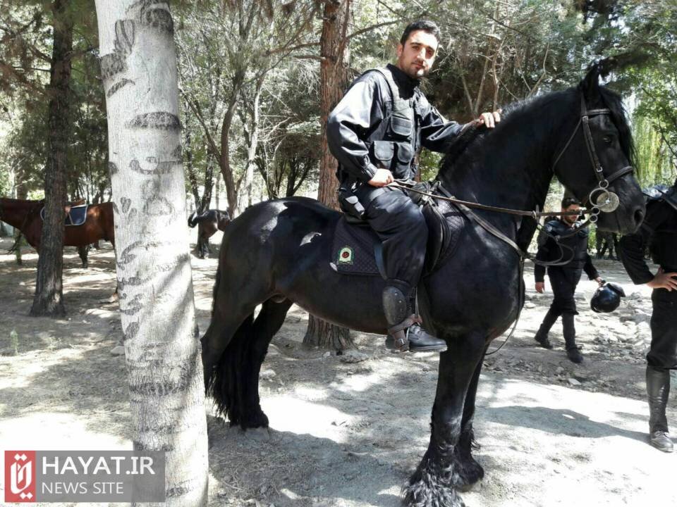 روایت تصویری زندگی «شهیدسجادمحمدی»