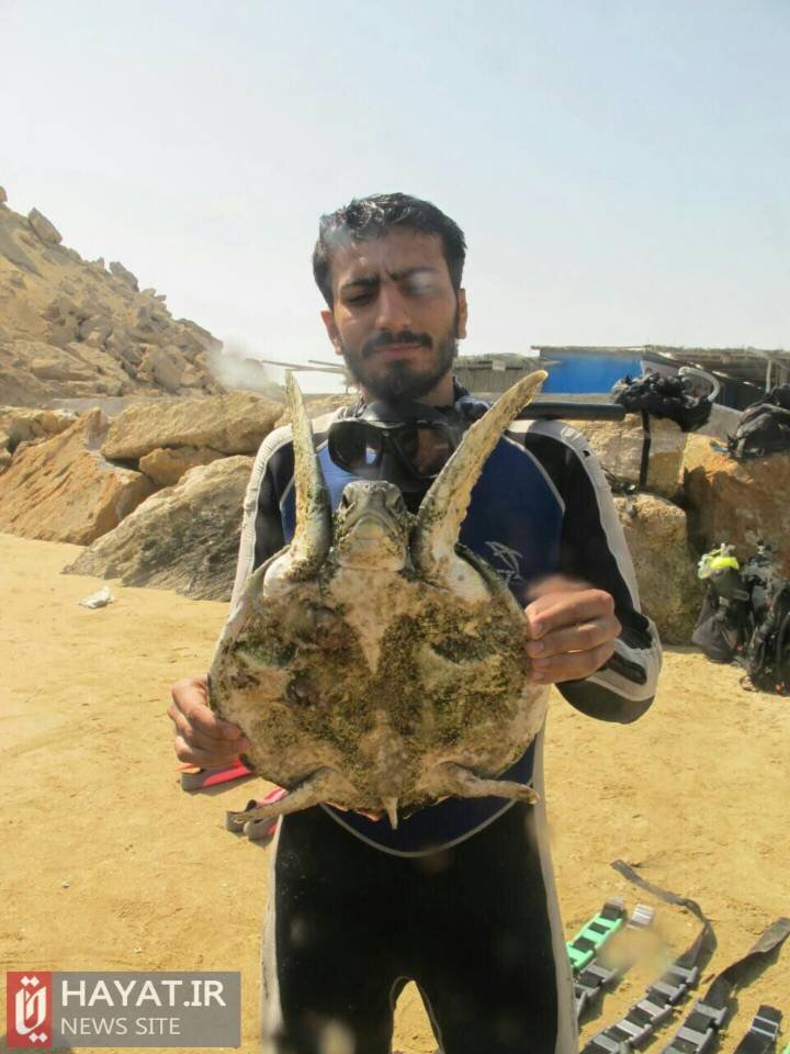 روایت تصویری زندگی شهید «مصطفی صدرزاده»