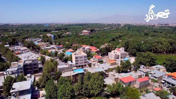 باغداری در تهران زیر ذرهبین «تهرانگرد» باغداری در تهران زیر ذرهبین «تهرانگرد»