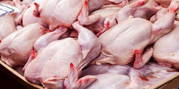 کاهش قیمت مرغ قطعه‌بندی در میادین و بازارهای میوه و تره بار
