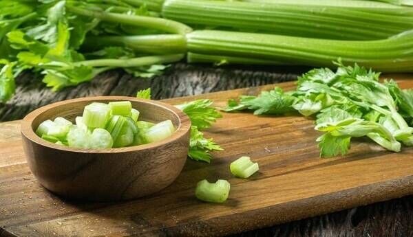 به این دلیل خوردن کرفس را ترک نکنید به این دلیل خوردن کرفس را ترک نکنید