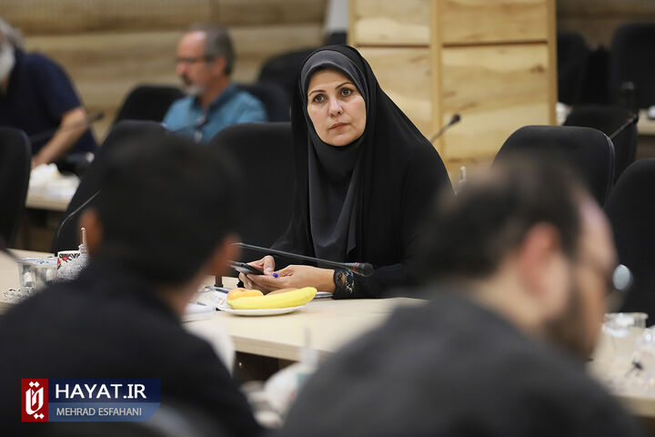 نشست خبری معاون سلامت و توانمندسازی اجتماعی بنیاد شهید و امور ایثارگران