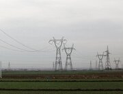 حدود ۳۶۲ کیلومتر شبکه توزیع برق البرز در دولت سیزدهم اجرایی شده است