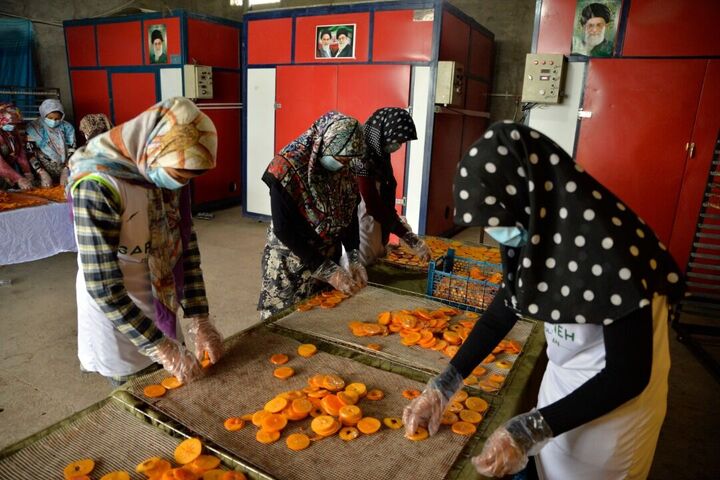 رشد توانمندسازی مددجویان کمیته امداد گلستان ثمره توجه دولت به محرومان رشد توانمندسازی مددجویان کمیته امداد گلستان ثمره توجه دولت به محرومان