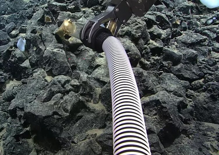 یک «تخم طلایی» عجیب در اعماق اقیانوس آرام کشف شد
