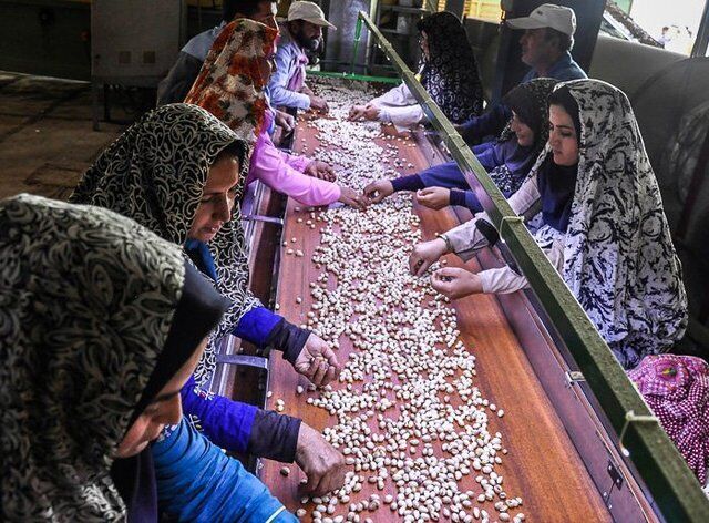 فراهم کردن ۸۸۰ طرح اشتغال از طریق تبصره ۱۸ از سوی کمیته امداد زنجان فراهم کردن ۸۸۰ طرح اشتغال از طریق تبصره ۱۸ از سوی کمیته امداد زنجان