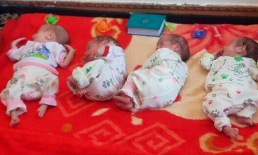 پوشش بیمه سلامت برای تامین هزینههای زایمان و درمان ناباروری در کهگیلویه و بویراحمد پوشش بیمه سلامت برای تامین هزینههای زایمان و درمان ناباروری در کهگیلویه و بویراحمد