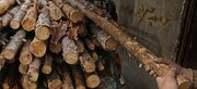 کشف ۳۱۷ متر مکعب چوب قاچاق در قزوین