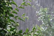 بارش باران در نوار شمالی و تداوم گرد و خاک در شرق کشور