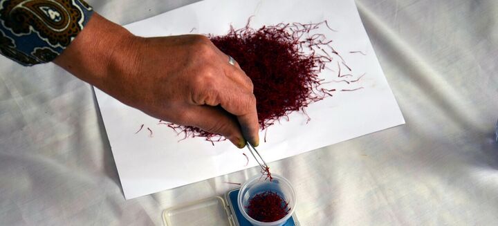 رشد ۵۲ درصدی صادرات زعفران در سال جاری/ ۱۰ مقصد صادراتی زعفران ایرانی رشد ۵۲ درصدی صادرات زعفران در سال جاری/ ۱۰ مقصد صادراتی زعفران ایرانی