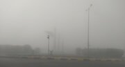 رطوبت هوا در استان بوشهر دوباره روند افزایشی می‌گیرد