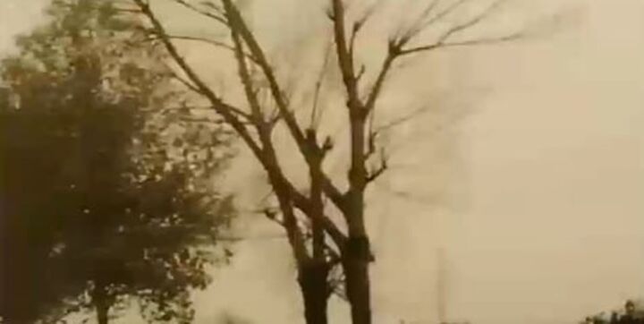 ریزگردها باز به آسمان مازندران رسید ریزگردها باز به آسمان مازندران رسید