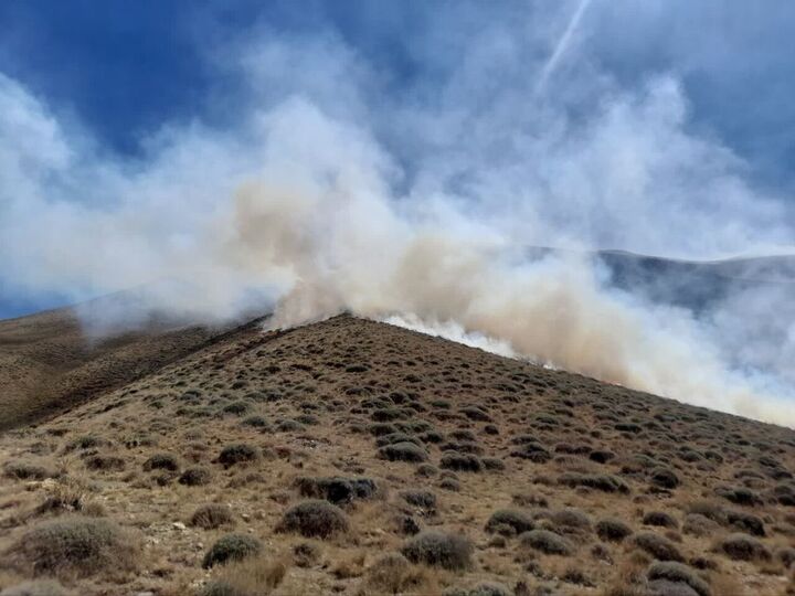 خسارت آتش سوزی در مراتع قزوین به ۴۴ هکتار رسید خسارت آتش سوزی در مراتع قزوین به ۴۴ هکتار رسید