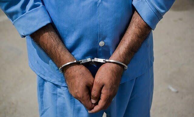 بازداشت عامل سرقت از ۲۰ خانه در جنتآباد بازداشت عامل سرقت از ۲۰ خانه در جنتآباد