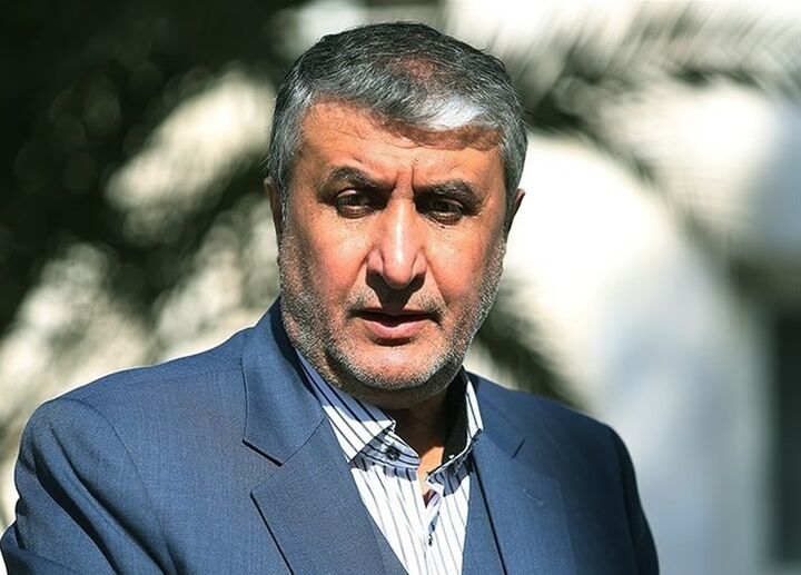 اسلامی: مبنای سازمان انرژی اتمی قانون اقدام راهبردی مجلس است اسلامی: مبنای سازمان انرژی اتمی قانون اقدام راهبردی مجلس است