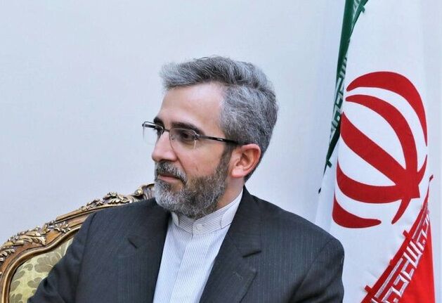 ابراز خرسندی علی باقری از آزادی زندانیان ایرانی در آمریکا ابراز خرسندی علی باقری از آزادی زندانیان ایرانی در آمریکا