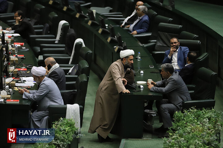 تقدیر بهارستان نشینان از اقدامات دولت و رئیس جمهور تقدیر بهارستان نشینان از اقدامات دولت و رئیس جمهور