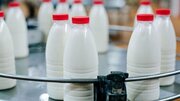 شیر رایگان در مدارس مناطق محروم توزیع شود