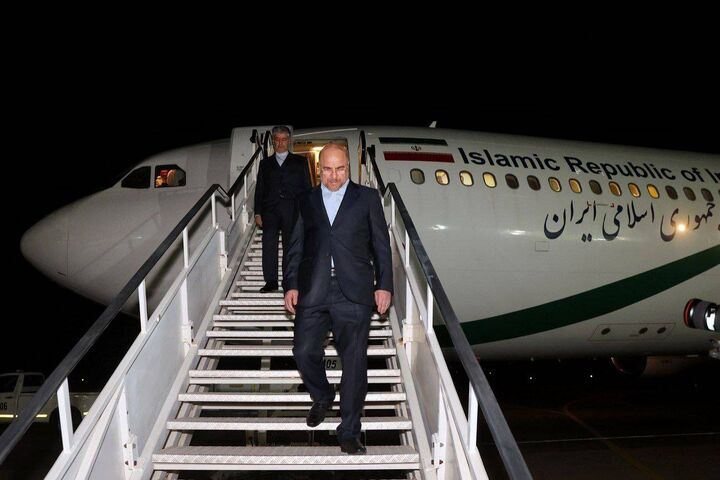 رئیس مجلس وارد آفریقای جنوبی شد رئیس مجلس وارد آفریقای جنوبی شد