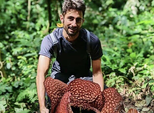 بزرگترین و بدبوترین گل جهان در معرض خطر انقراض است!