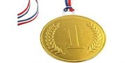 کسب مدال طلای کشوری المپیاد علوم زمین توسط دانش‌آموز لاری