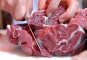 توزیع گوشت وارداتی ادامه دارد