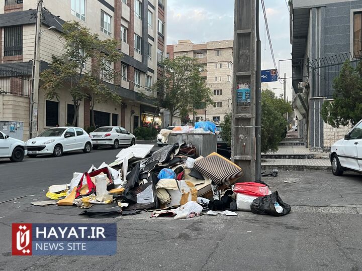 پرسه حیوانات موذی و بوی نامطبوع، تحفه مخازن زباله پایتخت! پرسه حیوانات موذی و بوی نامطبوع، تحفه مخازن زباله پایتخت!