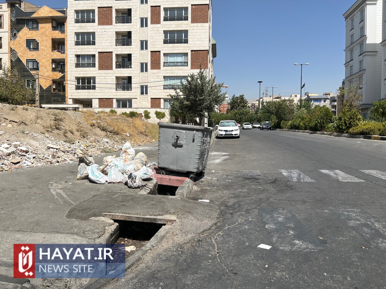 پرسه حیوانات موذی و بوی نامطبوع تحفه مخازن زباله!