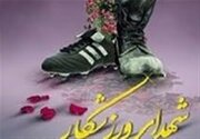 ‌کتاب زندگینامه شهدای ورزشکار استان کردستان رونمایی شد