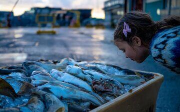 چرا بوی ماهی ناخوشایند است؟ چرا بوی ماهی ناخوشایند است؟