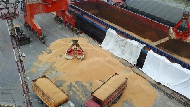 بیتوجهی به ارز تخصیصی و مجوزها سبب دپوی کالا میشود بیتوجهی به ارز تخصیصی و مجوزها سبب دپوی کالا میشود