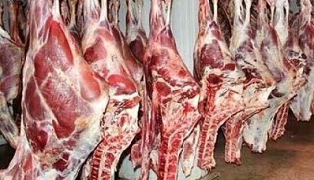 افزایش عرضه گوشت گوساله در میادین؛ پیشبینی قیمتها افزایش عرضه گوشت گوساله در میادین؛ پیشبینی قیمتها