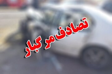 فیلم/ هفت کشته در تصادفی مرگبار در آیداهو آمریکا