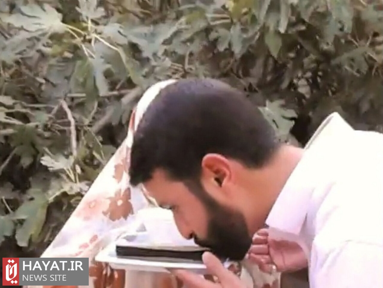 روایت تصویری زندگی شهید «حسین هریری»