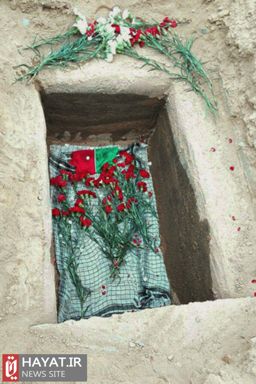 روایت تصویری زندگی شهید «حسین هریری»