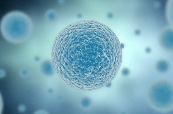 گونههای حیات مصنوعی میتوانند آینده پزشکی و داروها را متحول کنند گونههای حیات مصنوعی میتوانند آینده پزشکی و داروها را متحول کنند