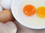 تخم‌مرغ، عنصر جدایی‌ناپذیر بسیاری از غذاها و منبع تغذیه طبیعی و کامل