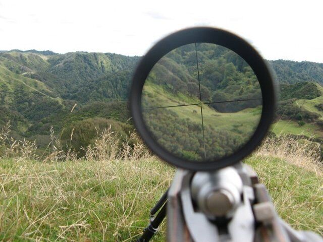 دستگیری ۱۸۳ شکارچی متخلف در کرمانشاه در نیمه اول سال دستگیری ۱۸۳ شکارچی متخلف در کرمانشاه در نیمه اول سال