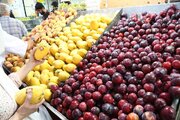 قیمت جدید انواع میوه در میادین و بازارهای میوه و تره بار