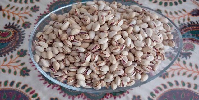 دهمین جشنواره ملی پسته ایران در دانشگاه دامغان برگزار میشود دهمین جشنواره ملی پسته ایران در دانشگاه دامغان برگزار میشود