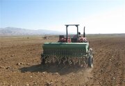پرداخت ۱۵۰۰ میلیون ریال تسهیلات به طرح جهش تولید در دیمزارهای استان بوشهر