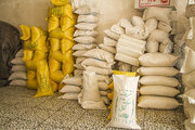 ممنوعیت واردات و توزیع برنج خارجی با وجود برنح در انبارهای کشاورزان