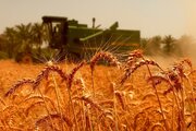 فراهم کردن سازوکار خرید ۲۰ درصد گندم تولید داخل توسط بخش خصوصی