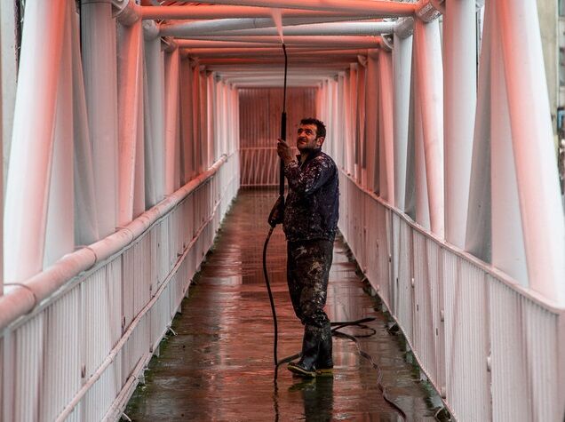 احتمال جمعآوری پلهای عابر پیاده میدان آزادی تا سهراه تهرانپارس و ایجاد گذرگاههای همسطح احتمال جمعآوری پلهای عابر پیاده میدان آزادی تا سهراه تهرانپارس و ایجاد گذرگاههای همسطح