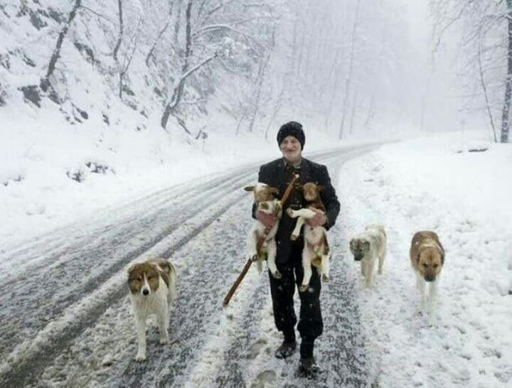 نخستین برف پائیزی ارتفاعات غرب گیلان را سپید کرد نخستین برف پائیزی ارتفاعات غرب گیلان را سپید کرد