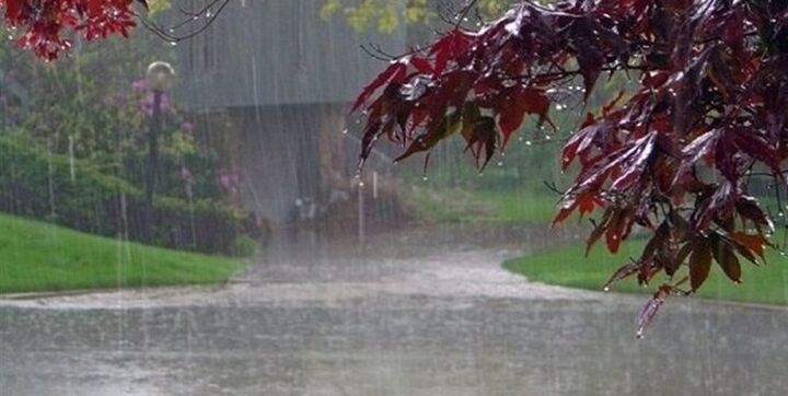 هواشناسی از بارش باران و رگبار در پایتخت خبر داد هواشناسی از بارش باران و رگبار در پایتخت خبر داد