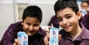 توزیع شیرپاکتی در مدارس ابتدایی لرستان آغاز شد