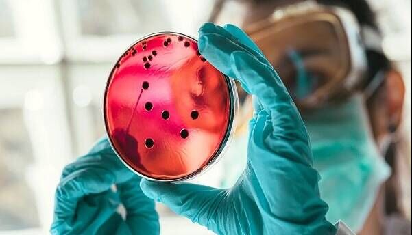 درمان اختلالات خونی با نانوذرات لیپیدی درمان اختلالات خونی با نانوذرات لیپیدی