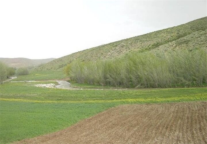 صدور سند ۲ میلیون اراضی ملی در استان مرکزی